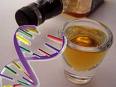 genetika_dedicnost_a_alkoholizmus